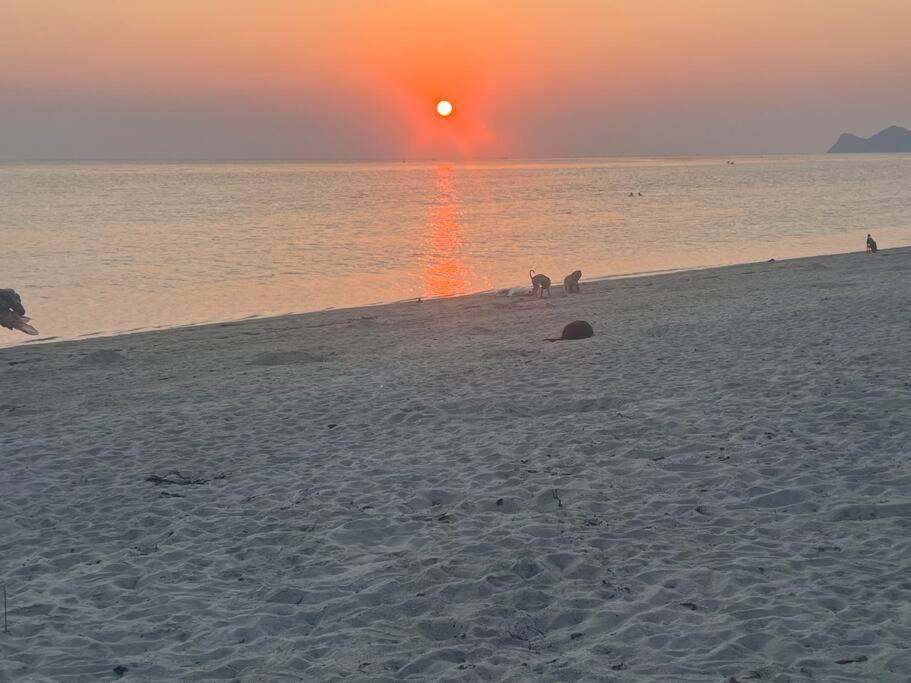 Sunset Serenity Cove 코팡안 외부 사진