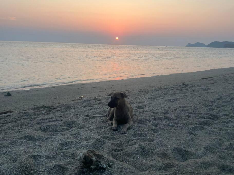 Sunset Serenity Cove 코팡안 외부 사진